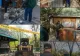 Asalt asupra construcțiilor ilegale din Cișmigiu. Toate anexele, puse la pământ de echipele Primăriei – FOTO