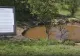 Alertă în România: apă contaminată cu țiței. Oamenii sunt disperați