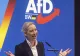 Cutremur la Berlin: AfD conduce în sondaje, coaliția lui Merz pierde sprijin masiv