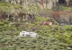 Tragedie în Spania. Un mort și 14 răniți după un accident de autocar pe insula La Gomera din arhipelagul Canare- VIDEO