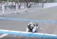 Momentul în care un robot a leșinat la maraton | VIDEO viral