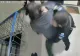Scene de groază în Murfatlar: un lăcătuș CFR a încercat să violeze o femeie și i-a amenințat vecinii cu toporul. A fost arestat