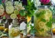  Rețeta de socată de casă cu lămâie. Ingredientul secret care o ajută să fermenteze rapid 