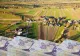 Pământul României, vândut bucată cu bucată. Cum au ajuns terenurile agricole pe mâna străinilor -VIDEO