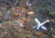 Elicopter prăbușit în Indonezia: toate persoanele aflate la bord au murit