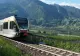 Studiu alarmant: 7 din 10 tineri cred că s-ar putea feri la timp din fața unui tren
