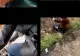 Scene șocante într-un Uber din Iași. O femeie s-a aruncat din mașină în mers, iar șoferul a început să o filmeze - VIDEO