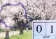 Cum va fi vremea în minivacanța de 1 Mai: temperaturi mult sub cele normale. Prognoza pe patru săptămâni 