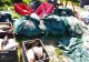 Descinderi de amploare în trei județe: sute de kilograme de pește și icre confiscate. Prejudiciu de aproximativ un milion de lei în dosar de braconaj piscicol