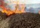 Tragedie în Spania: 12 oameni au murit într-un incendiu de pădure. Unele victime au fost găsite în mașini