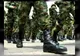 Cincu, sub asediu într-un scenariu NATO. Exercițiu de amploare: participă 1.300 de militari și sute de blindate
