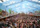 Seceta lovește culturile de hamei și orz din Germania și Austria. Ce impact ar putea avea asupra Oktoberfest