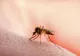 Virusul West Nile face ravagii în România. INSP: 58 de cazuri şi trei decese în acest sezon