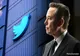 Twitter a reapărut în SUA, dar fără Elon Musk: „Treci peste X. Pasărea s-a întors”