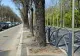 Amenzi uriașe pentru șoferii care merg pe banda de autobuz. Haos total în traficul din Capitală, polițiștii intervin urgent 