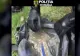 Un antreprenor chinez a rămas fără bunuri în valoare de aproximativ 100.000 de euro. Principalul suspect este un recidivist în vârstă de 55 de ani, cunoscut de autorități pentru antecedente penale