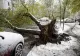 Ninsoare record în plină primăvară la Moscova. Zboruri anulate, copaci doborâți și haos în trafic - VIDEO
