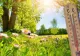 Schimbări drastice de temperatură de la o zi la alta. Ce urmează după zilele cu 25 de grade Celsius în termometre