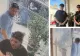 Doi români au furat „copacul banilor” dintr-un restaurant chinezesc din Marea Britanie. Planta cu valoare sentimentală a fost recuperată de poliție