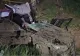 Mașină răsturnată pe DN58B, în Reșița. Trei persoane au fost duse la spital