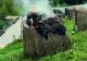 Vandalism pe faleza din Ovidiu. Patru tinere au făcut scrum un bungalou VIDEO