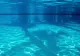 Un copil de 1 an și 4 luni, din Dolj, a murit înecat după ce a căzut într-o piscină din curtea bunicilor