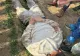 Filmul prinderii principalului suspect în uciderea fetei de 18 ani: imaginil MAI – VIDEO