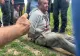 Bărbatul suspectat că a ucis o tânără de 18 ani a fost PRINS. Și-a recunoscut imediat fapta 