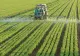 Agricultura românească se lovește de ușile băncilor. Antreprenorii români pierd cursa pentru dezvoltare