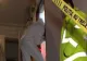 Descoperire tragică în Giurgiu! Un bărbat de 46 de ani a fost găsit mort în apartament după trei zile 