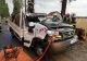 Vremea a făcut ravagii în România: bărbat mort după ce un copac a căzut peste o mașină în timpul furtunii