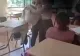 Bătaie ca în codru la un liceu din Giurgiu. O adolescentă a fost lovită în sala de clasă, sub privirile colegilor