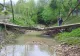 Apele au făcut ravagii în județul Buzău. Poduri rupte, un pârâu a depășit nivelurile istorice
