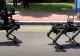 Taiwanul testează câini-robot înarmați pentru a descuraja China - VIDEO