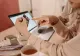 Listă IFN-uri care acordă credite online: ce trebuie să compari înainte să aplici