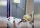 Strigătul disperat al unei fiice pentru mama sa grav bolnavă. Diagnostic crunt