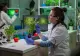 Europa deschide ușa pentru o nou generație de plante modificate genetic. Fermierii au ieșit deja la proteste