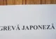 Angajații Casei de Pensii Tulcea au intrat în grevă japoneză: „Va dura până când situația noastră va fi înțeleasă!”