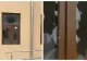 Scene de vandalism la o primărie din Caraș-Severin. Un bărbat a distrus 80 de geamuri și uși ale clădirii aflate în renovare