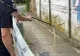 Jandarmii au prins un mega șarpe de 2 metri. Reptila se plimba nestingherită în mijlocul drumului - VIDEO