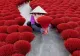 Mii de bețișoare parfumate colorează peisajul unui sat vietnamez. Tradiția veche de secole care atrage turiști din întreaga lume