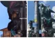 Valul de caniculă face ravagii în Europa. Semafoare topite, autostrăzi afectate și transport feroviar perturbat din cauza temperaturilor extreme