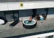 Traficant de droguri urmărit internațional, săltat de mascați din piscină la Bistrița - VIDEO
