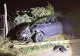 Șoferiță prinsă băută după ce și-a abandonat mașina lovită într-un stâlp. Ce alcoolemie au descoperit polițiștii