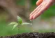 Lovitură pentru agricultori. Până la 5 ani de închisoare pentru captarea ilegală a apei din surse de suprafață și subterane