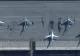 Baza aeriană rusă Engels-2, lovită din nou de drone ucrainene. Aici sunt staționate bombardierele strategice ale Moscovei - VIDEO