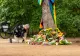 Suspectul atacului de la Berlin Pride ar fi fost împușcat mortal