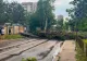 Mobilizare maximă. IGSU trimite noi forțe în sprijinul ISU București-Ilfov, după furtunile puternice 