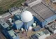 Incendiu de vegetație în Anglia, lângă centrala nucleară Sizewell B: locuitori evacuați și peste 90 de pompieri mobilizați