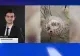Cod galben de vreme severă: furtunile continuă și în zilele următoare. Noile date de la ANM